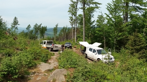 Lądek-Zdrój: Platforma widokowa prawie gotowa. Na górę poprowadzi singletrack - 5