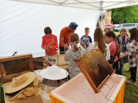 DRJ: Festiwal Dziecinada w Leśnej [ZOBACZ] - 1