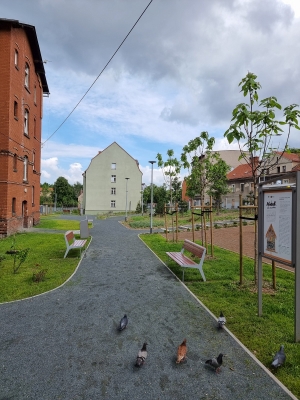 Wałbrzyskie parki kieszonkowe w dzielnicy Podgórze są już gotowe - 8