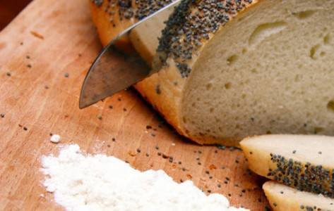 Jawor chlebem podzielony -