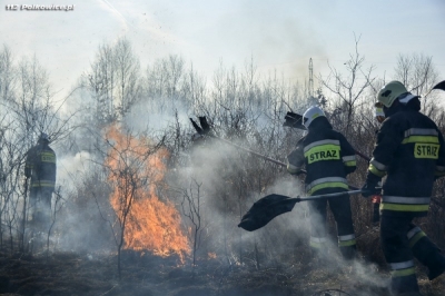 Kolejny pożar lasu w okolicach Legnicy - samoloty w akcji