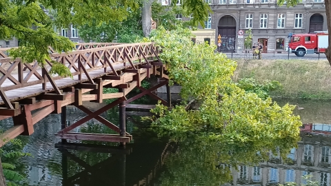Na kładkę w centrum miasta spadło drzewo [ZDJĘCIA] - 3
