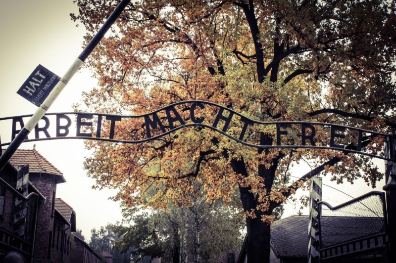 Świat z bliska i daleka: Dlaczego Izrael odwołał wycieczki licealistów do Auschwitz? - fot. pixabay (zdjęcie ilustracyjne)