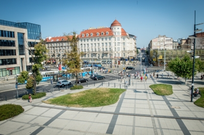 Dlaczego we Wrocławiu miejska zieleń żółknie?
