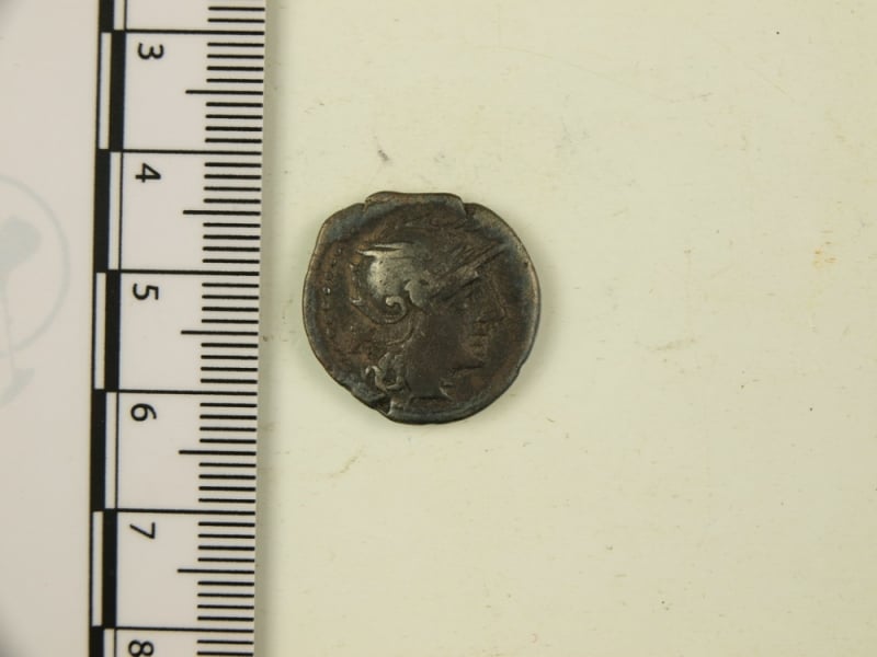Legniczanin podarował muzeum kolekcję monet. Najstarsza pochodzi ze starożytnego Rzymu - fot. Muzeum Miedzi