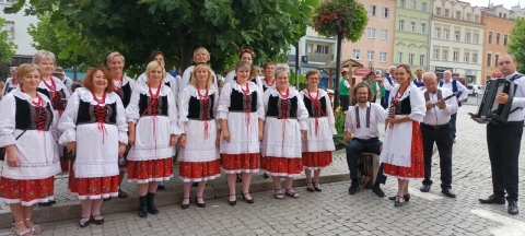 DRJ: Międzynarodowy Festiwal Folkloru w Strzegomiu [ZDJĘCIA] - 18