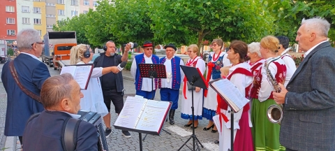 DRJ: Międzynarodowy Festiwal Folkloru w Strzegomiu [ZDJĘCIA] - 22