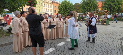 DRJ: Międzynarodowy Festiwal Folkloru w Strzegomiu [ZDJĘCIA] - 24