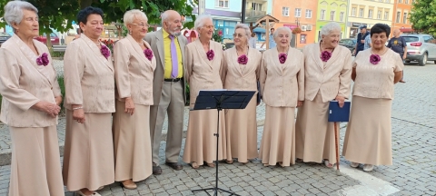 DRJ: Międzynarodowy Festiwal Folkloru w Strzegomiu [ZDJĘCIA] - 5