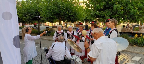 DRJ: Międzynarodowy Festiwal Folkloru w Strzegomiu [ZDJĘCIA] - 14