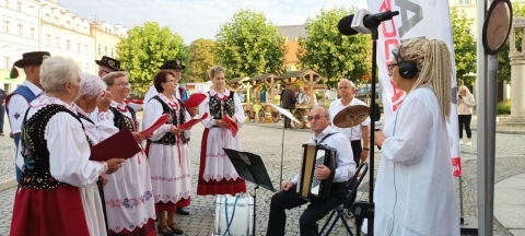 DRJ: Międzynarodowy Festiwal Folkloru w Strzegomiu [ZDJĘCIA] - 7