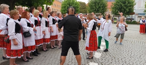 DRJ: Międzynarodowy Festiwal Folkloru w Strzegomiu [ZDJĘCIA] - 15
