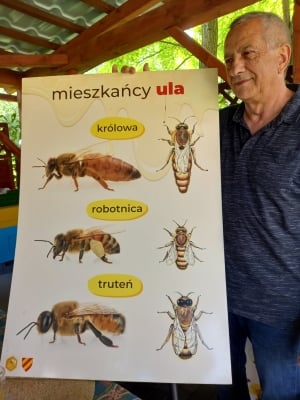 Za darmo pokazują jak żyją pszczoły - pasieka pod Kłodzkiem czeka na chętnych - 1