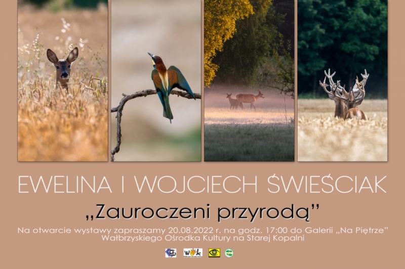 Święto Fotografii w Starej Kopalni w Wałbrzychu - fot. Wałbrzyski Ośrodek Kultury