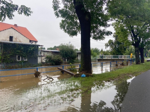 Dramat mieszkańców gminy Marcinowice. Trudna sytuacja także w okolicach Sobótki [ZDJĘCIA, OSTRZEŻENIE] - 9