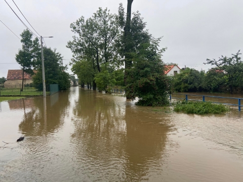 Dramat mieszkańców gminy Marcinowice. Trudna sytuacja także w okolicach Sobótki [ZDJĘCIA, OSTRZEŻENIE] - 11