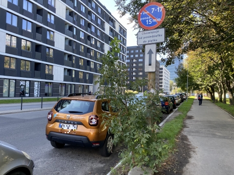 Przy Zielińskiego i Gwiaździstej parkują jak chcą. Czasem autobusy nie mogą przejechać [ZDJĘCIA] - 6