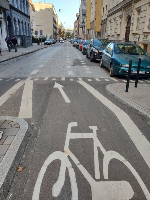 Przedmieście Oławskie domaga się przebudowy niebezpiecznej ścieżki rowerowej [ZDJĘCIA] - 0