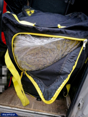 Polskie i czeskie służby rozbiły gang zajmujący się przemytem narkotyków - 4