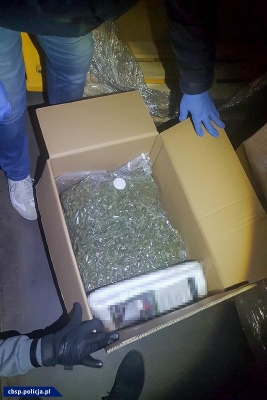 Polskie i czeskie służby rozbiły gang zajmujący się przemytem narkotyków - 8