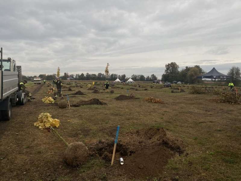 WROśnij we WROcław. Kolejne drzewka mają małych patronów - fot. J. Dworzecki