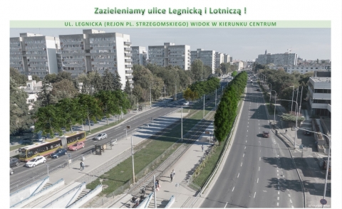 Będzie zielono. Przy Legnickiej i Lotniczej posadzą setki drzew - 1