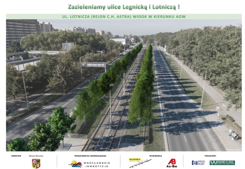 Będzie zielono. Przy Legnickiej i Lotniczej posadzą setki drzew - 2