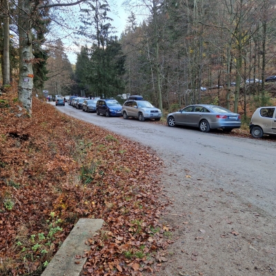 Parkują gdzie popadnie. Turyści w Sudetach zmorą leśników i służb ratunkowych - 1
