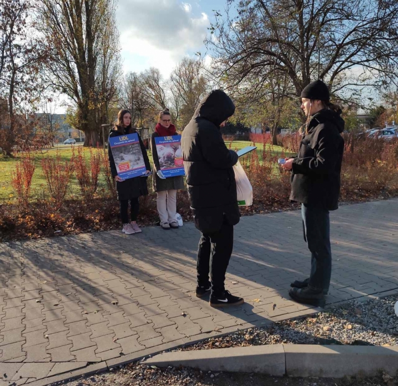 Protest aktywistów w sprawie ferm drobiu - fot. Otwarte Klatki