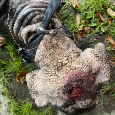 Całe życie w zamknięciu w koszmarnych warunkach - 1