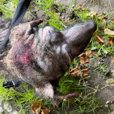 Całe życie w zamknięciu w koszmarnych warunkach - 2