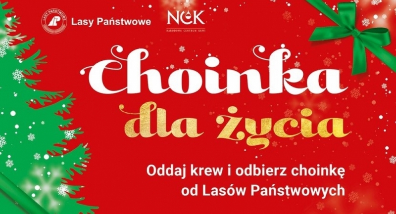 Choinka za krew. Świąteczna akcja Lasów Państwowych - Fot: Lasy Państwowe