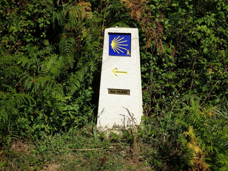 Wieczór zDolnego Śląska: "Camino de Santiago" - fot: Pixabay