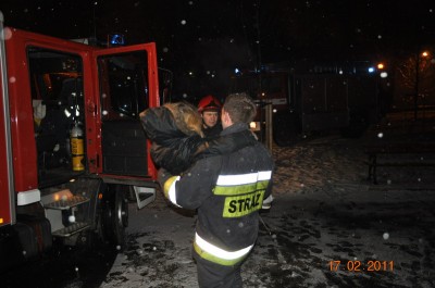 Nastolatka uwięziona pod stosem drewna  - 3