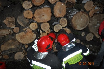 Nastolatka uwięziona pod stosem drewna  - 0