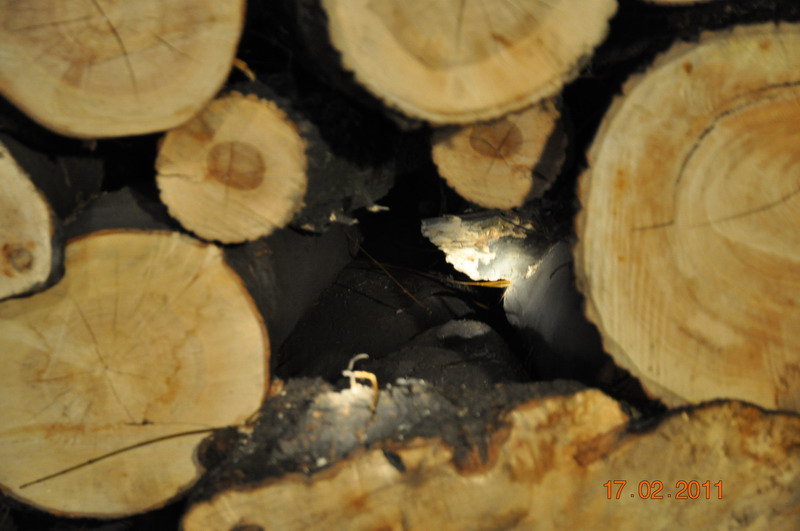 Nastolatka uwięziona pod stosem drewna  - Fot. PSP Legnica 