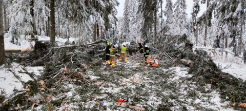  Utrzymano zakaz wstepu do lasów z powodu śnieżyc i oblodzenia [AKTUALIZACJA] - 1