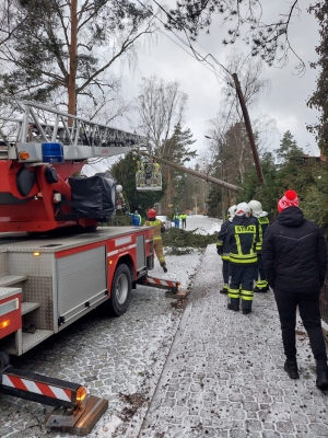  Utrzymano zakaz wstepu do lasów z powodu śnieżyc i oblodzenia [AKTUALIZACJA] - 2