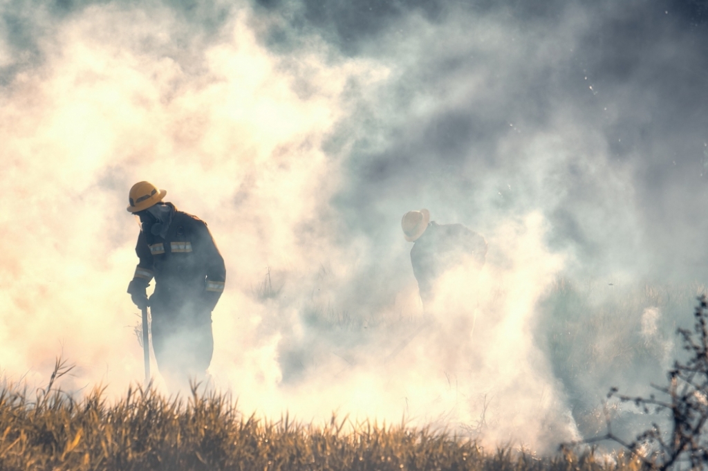 Tragiczny pożar we Wrocławiu. Nie żyje mężczyzna - Fot: zdjęcie ilustracyjne, Pixabay