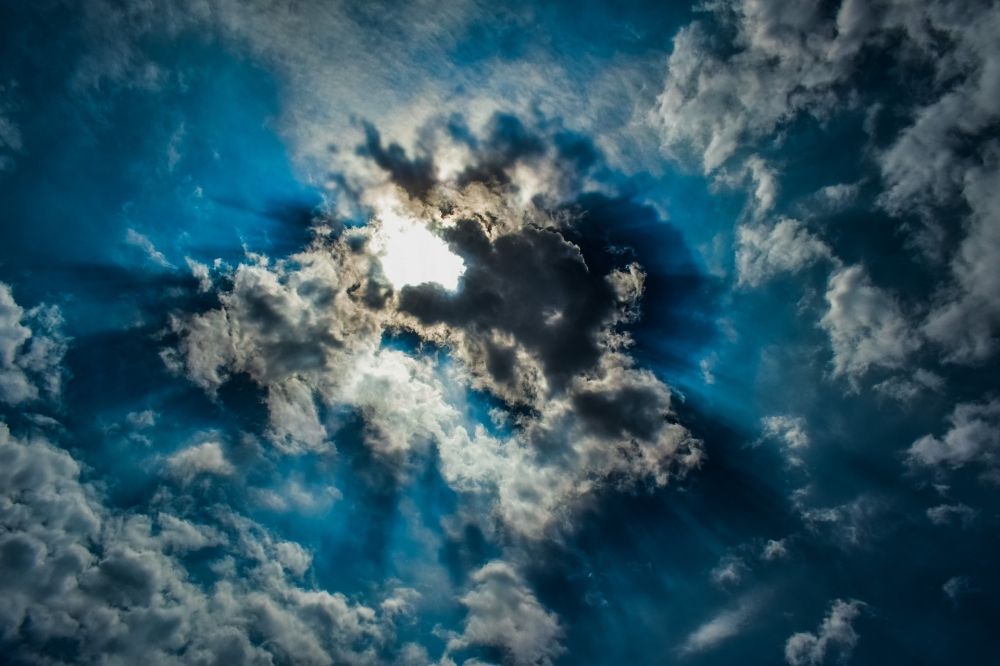 Wrocławskie szkoły wyższe chcą być bardziej proklimatyczne - fot. pixabay (zdjęcie ilustracyjne)