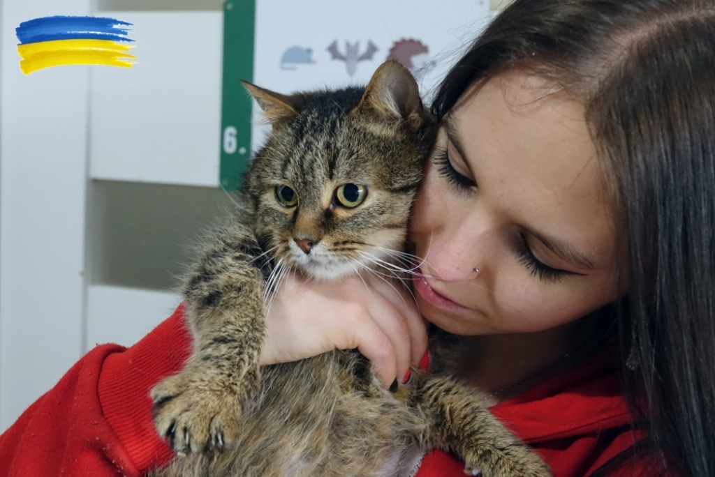 Ekostraż już rok ratuje zwierzęta z objętej wojną Ukrainy - Fot: Ekostraż
