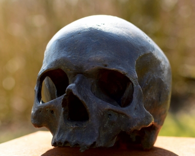 Mieszkańcy Miłoszyc znajdują ludzkie kości na terenie obozu Funfteichen