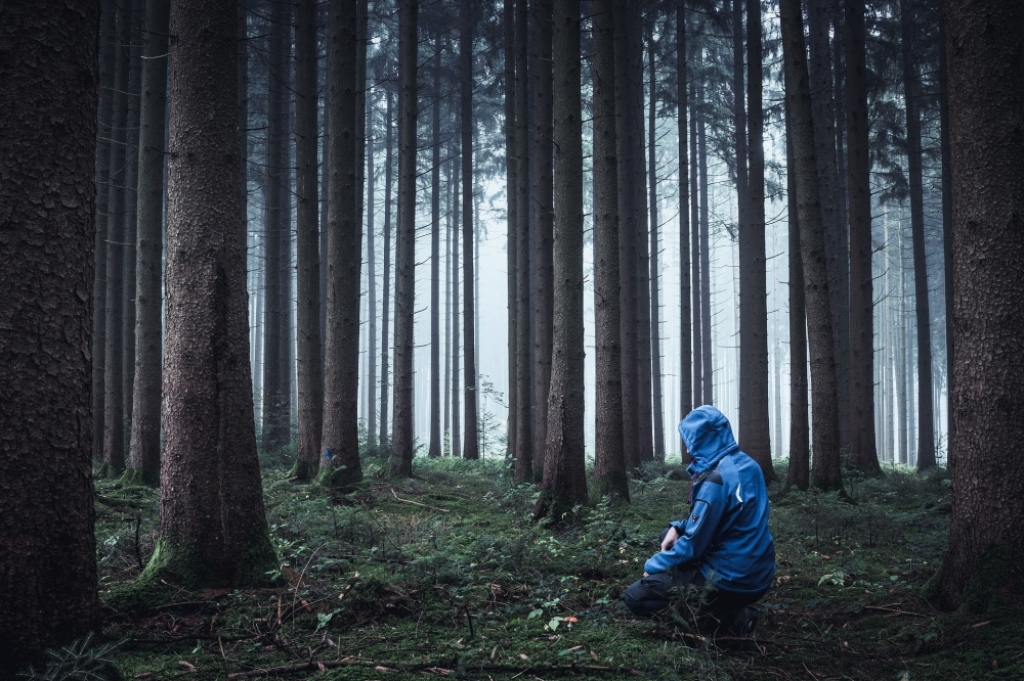 Wystarczy hamak, las i można biwakować. Bushcraft coraz popularniejszy - zdjęcie ilustracyjne; fot. Pixabay