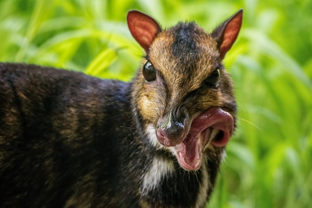 Co wolno robić w zoo? - Fot: Zoo Wrocław