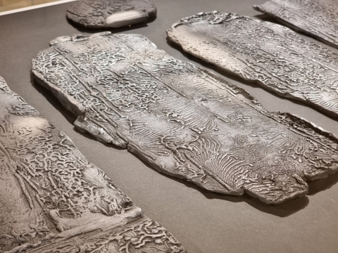 "Na pniu", czyli nowość w Dusznickim Muzeum Papiernictwa - 2