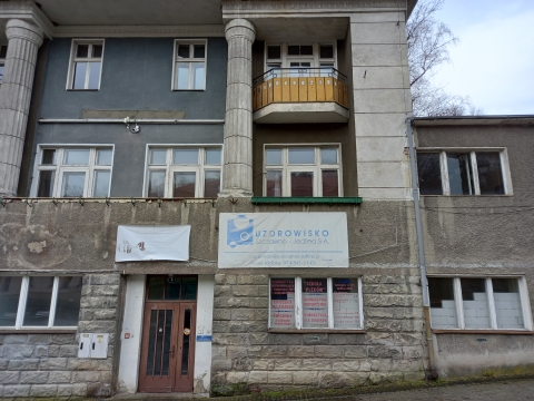 Społecznicy chcą prawdziwego uzdrowiska w Jedlinie - 1