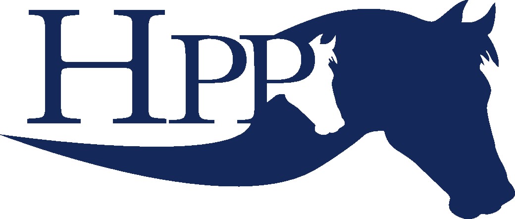 PGNiG HPP we Wrocławiu - Fot. mat. prasowe