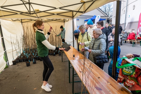 Pierwszy wiosenny piknik we Wrocławiu - 17