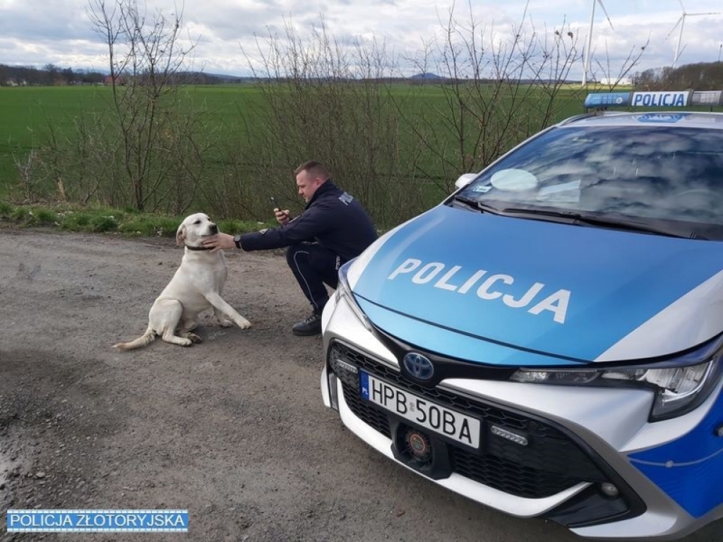 Policjanci uratowali młodego psiaka - Fot: dolnośląska policja