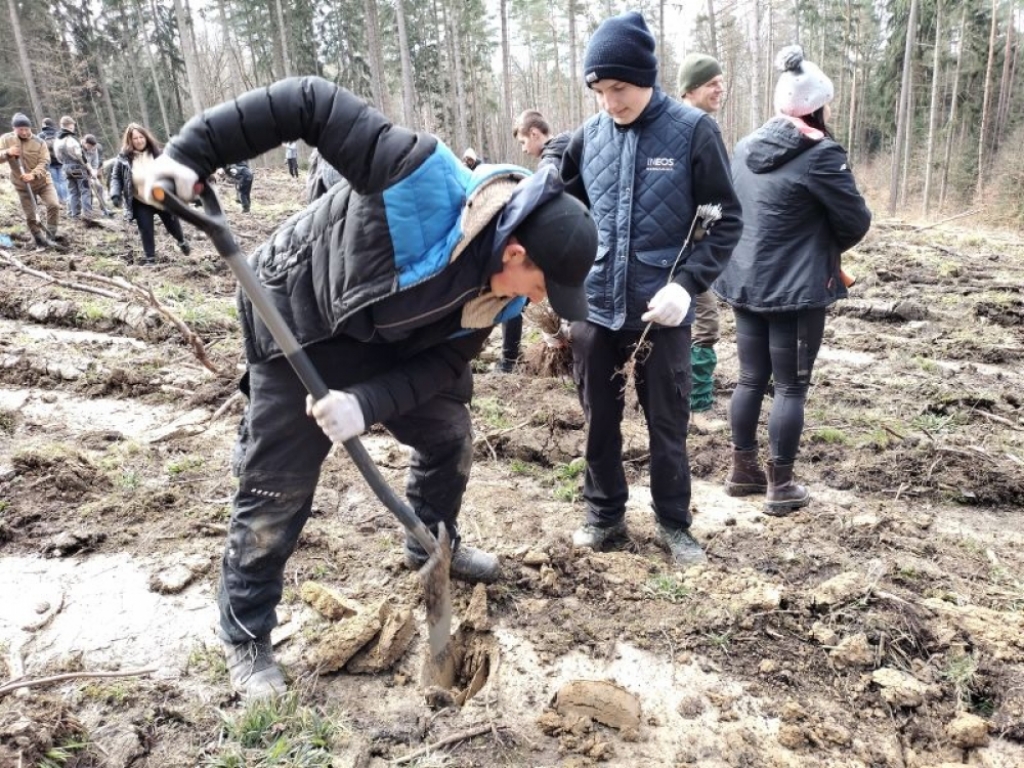 Koło Niwnic przybyło drzew. Zasadzili je sami mieszkańcy - fot. Piotr Słowiński